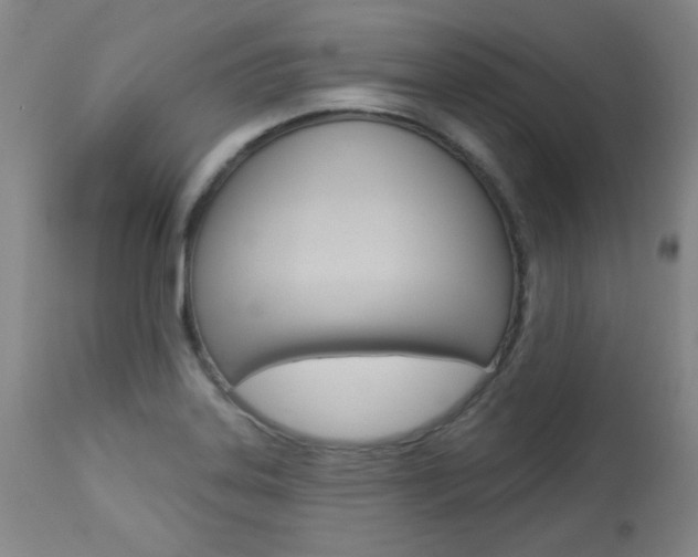 X0000113921323200909241320