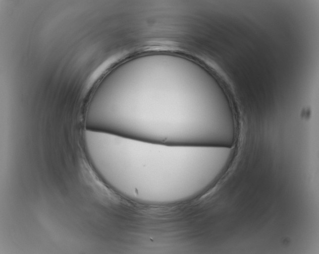 X0000113921325200909241320