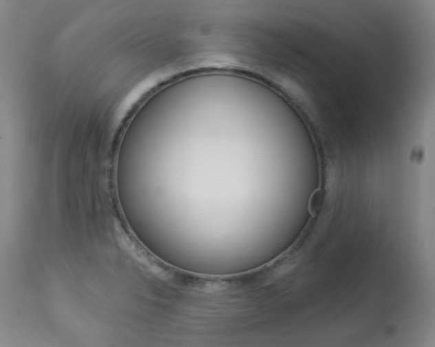 X0000113921326200909241320