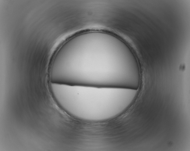 X0000113921327200909241320