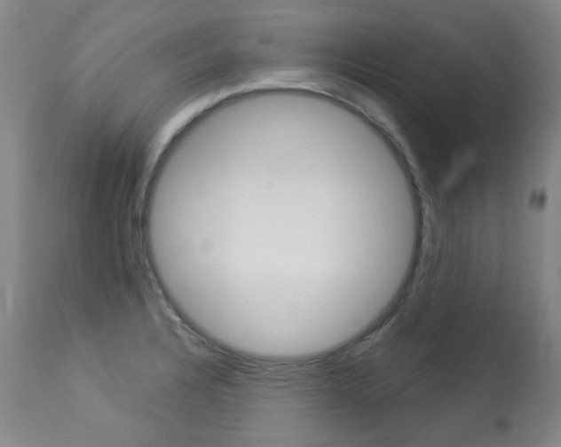 X0000113921328200909241320