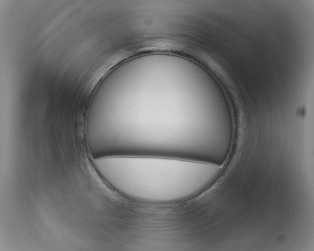 X0000113921329200909241320