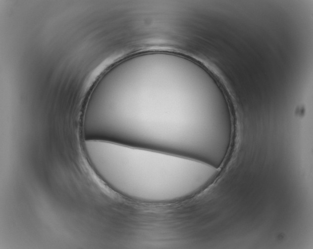 X0000113921333200909241320