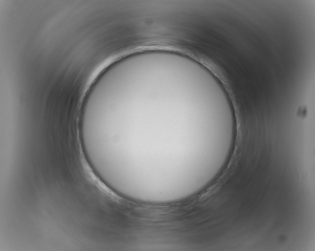 X0000113921334200909241320