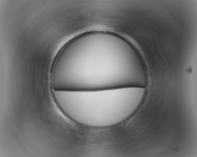 X0000113921335200909241320