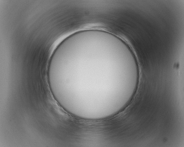 X0000113921336200909241320