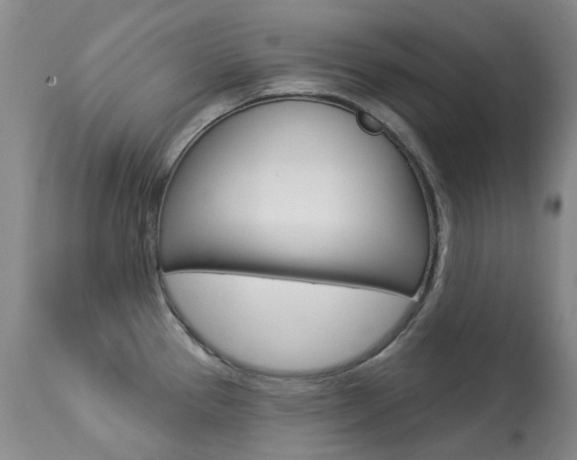 X0000113921337200909241320