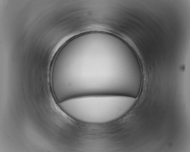 X0000113921339200909241320