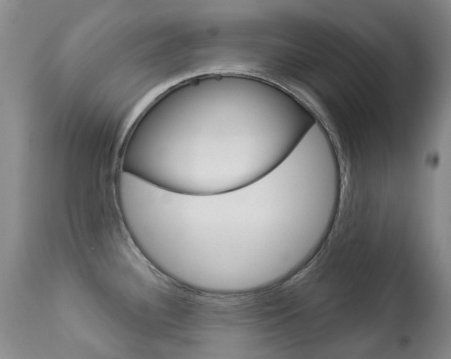 X0000113921340200909241320