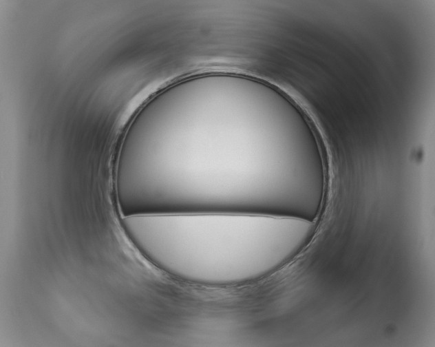 X0000113921341200909241320