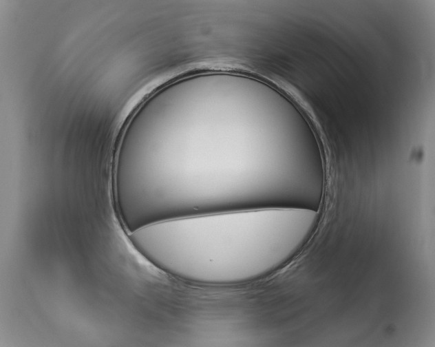 X0000113921343200909241320