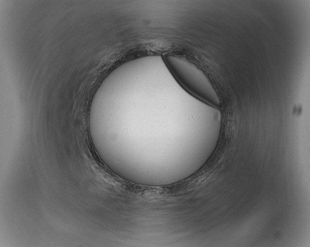 X0000113921345200909241319