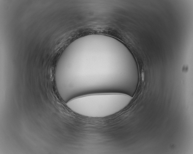 X0000113921347200909241319