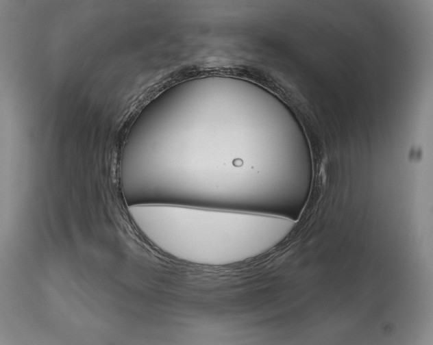 X0000113921348200909241319
