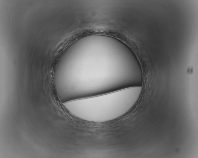 X0000113921349200909241319