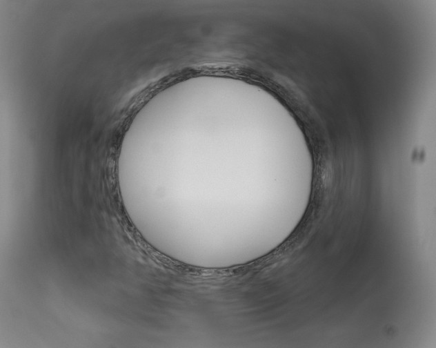 X0000113921350200909241319