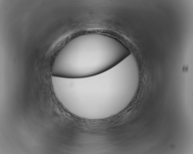 X0000113921351200909241319