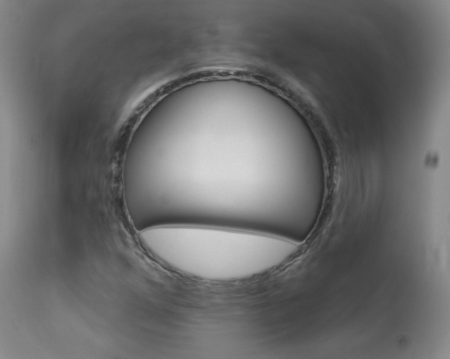 X0000113921352200909241319
