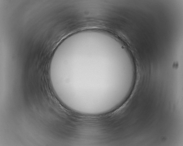 X0000113921353200909241319