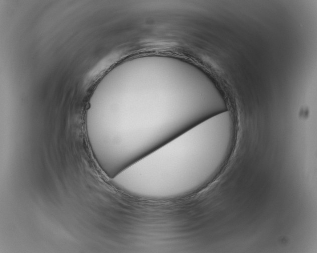 X0000113921354200909241319
