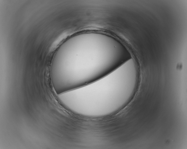 X0000113921355200909241319