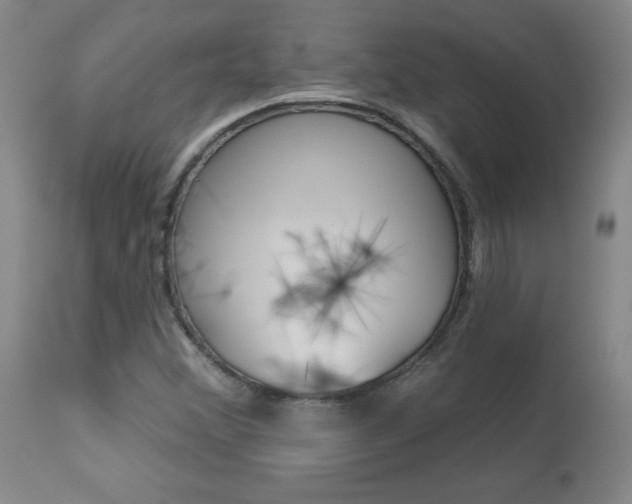 X0000113921356200909241319