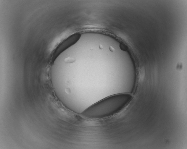 X0000113921357200909241319