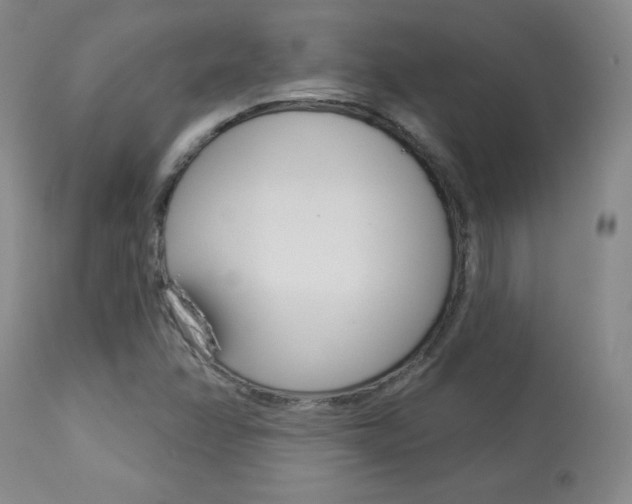 X0000113921358200909241319