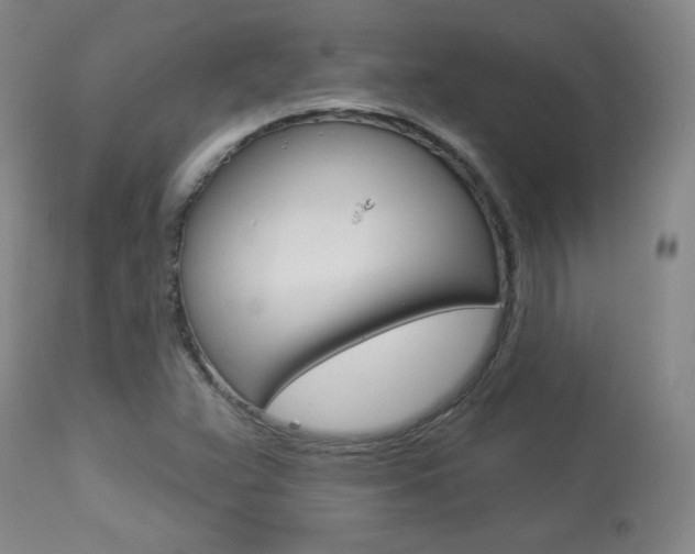 X0000113921359200909241319