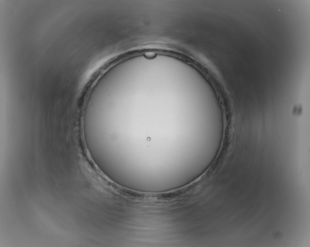 X0000113921360200909241319