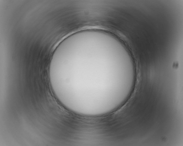 X0000113921361200909241319