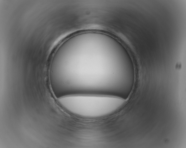 X0000113921364200909241319