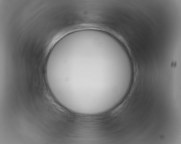 X0000113921365200909241319