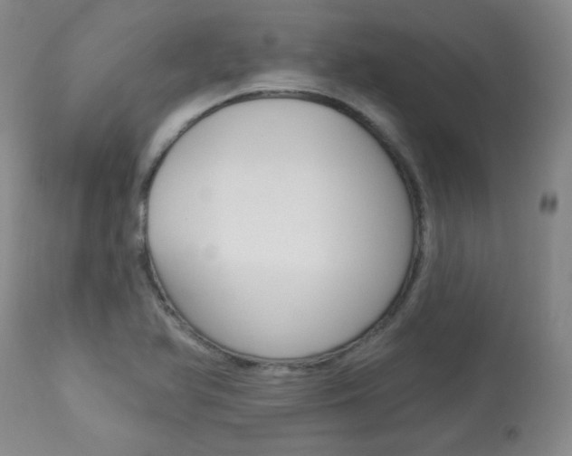 X0000113921366200909241319
