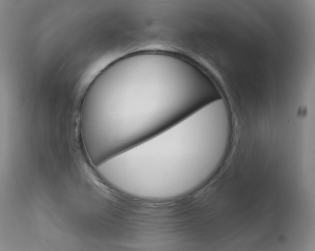 X0000113921367200909241319