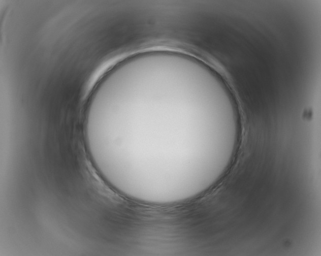 X0000113921368200909241319
