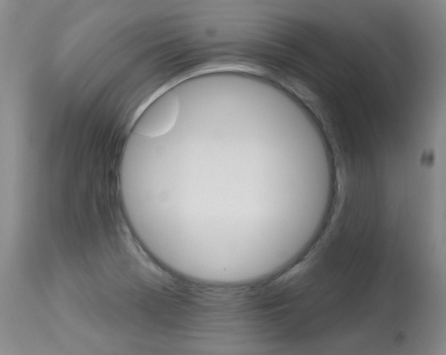 X0000113921369200909241319