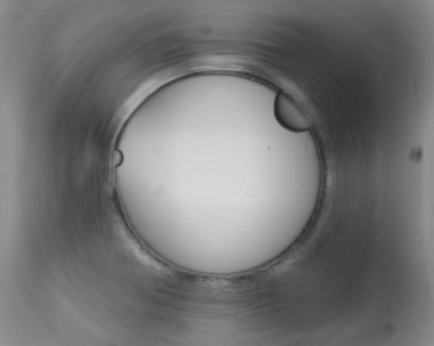 X0000113921370200909241319