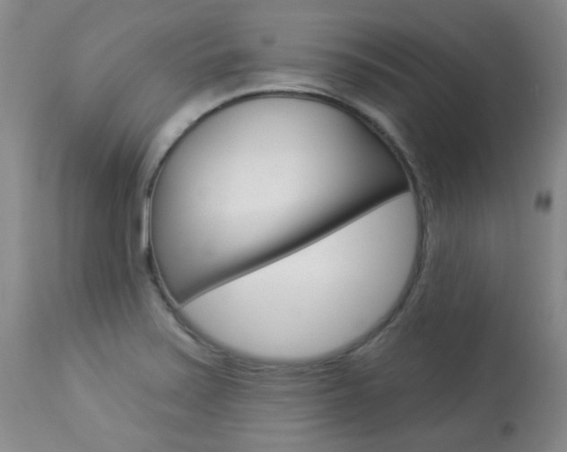 X0000113921371200909241319