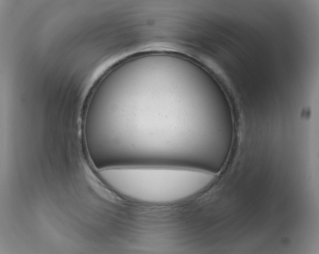 X0000113921372200909241319