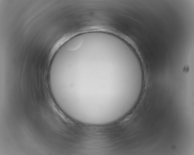 X0000113921373200909241319
