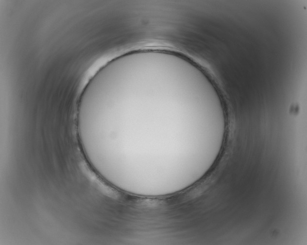 X0000113921374200909241319