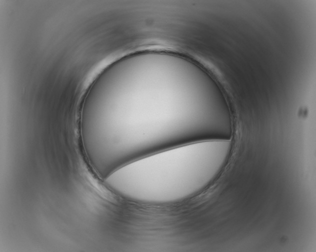 X0000113921375200909241319