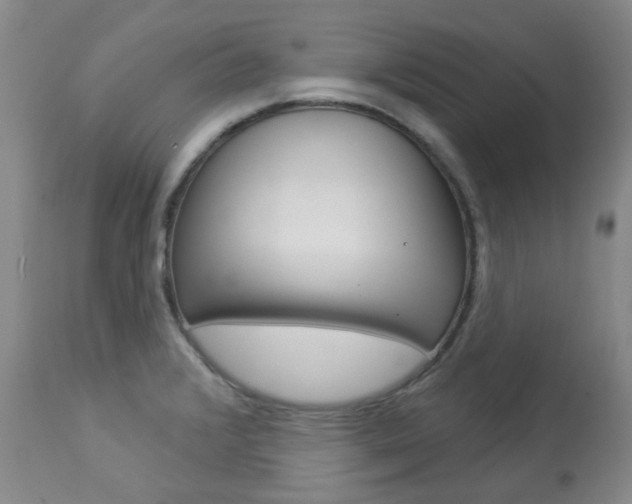 X0000113921376200909241319