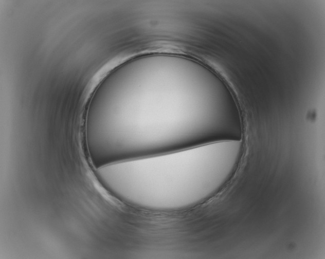X0000113921379200909241319
