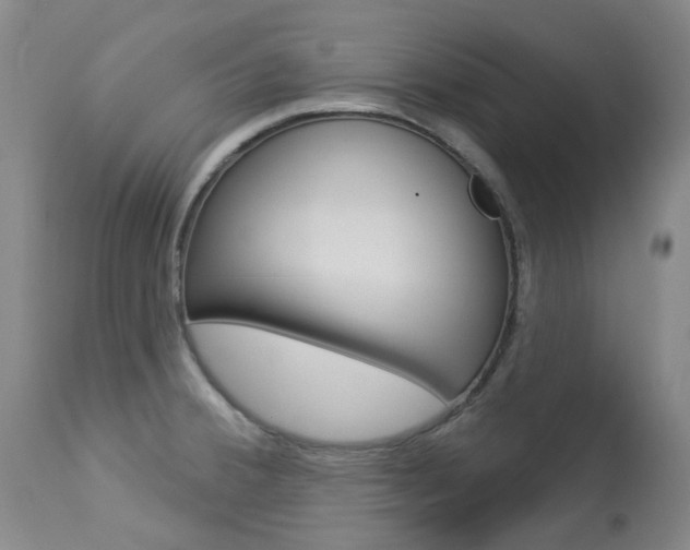 X0000113921380200909241319