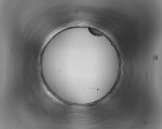 X0000113921382200909241319