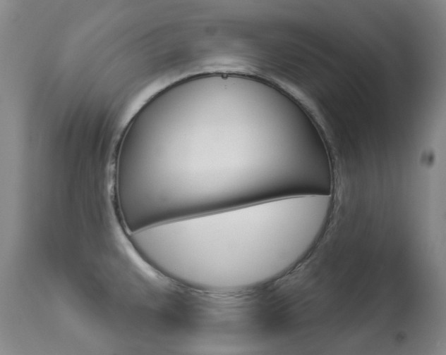 X0000113921383200909241319