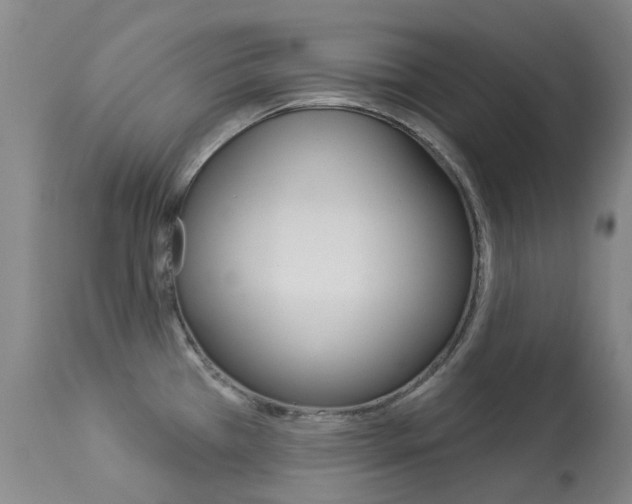 X0000113921385200909241319