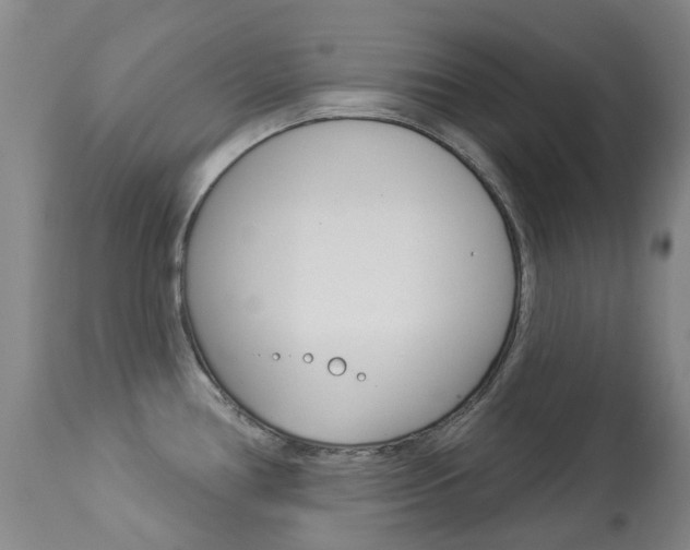 X0000113921386200909241319
